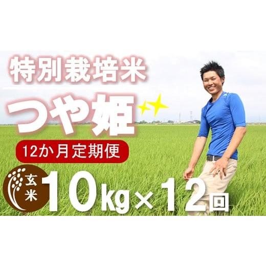 ふるさと納税 山形県 三川町 ecofarmすがわら特別栽培米つや姫10kg×12回