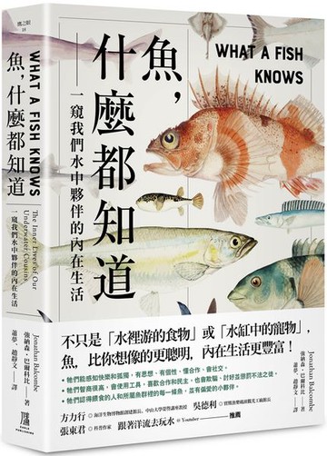 魚，什麼都知道：一窺我們水中夥伴的內在生活【城邦讀書花園】
