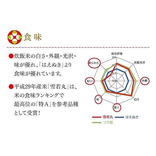 精米 山形県産 雪若丸 20kg（5kg×4袋） 令和5年産 ryy2005