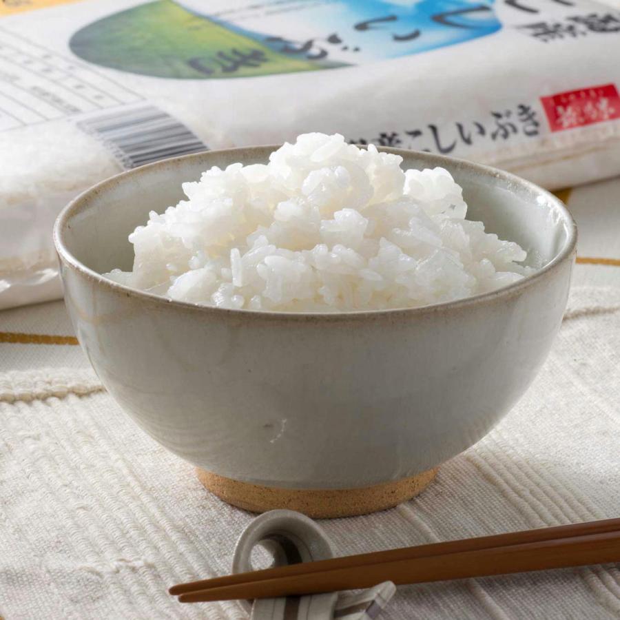 新米 米 お米 5kg セール こしいぶき 新潟産 本州送料無料 令和5年産