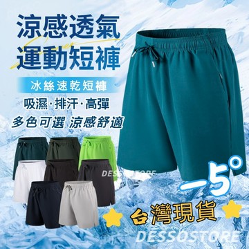 現貨隔日達 冰絲五分褲 速乾透氣短褲 運動短褲男 大尺碼五分褲 男 沙灘褲 運動排汗褲 吸濕排汗 涼感運動短褲 居家短褲
