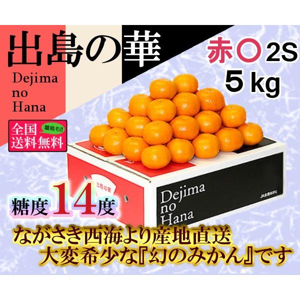 出島の華 丸秀２Ｓ 約５ｋｇ 長崎県産