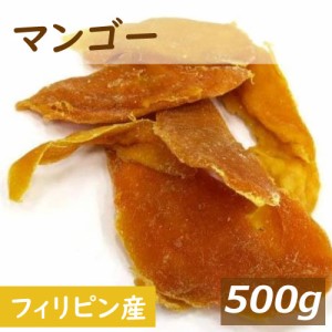 マンゴー 保存料無添加 (フィリピン) 500g ドライマンゴー まんごー ドライフルーツ トロピカル 無漂白 製菓材料 製パン材料 ケーキ材料