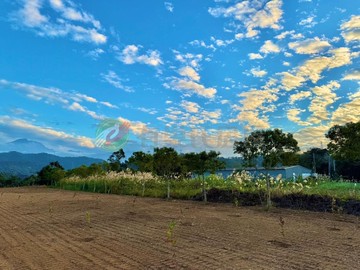 近老街美莊園(分九筆出售)｜新竹縣峨眉鄉赤柯山