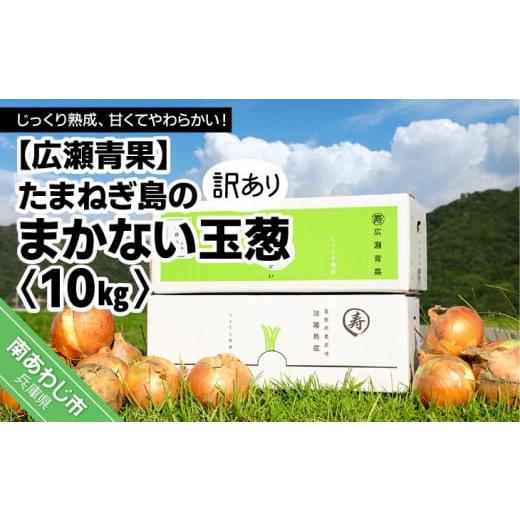 ふるさと納税 兵庫県 南あわじ市 たまねぎ島のまかない玉葱10kg