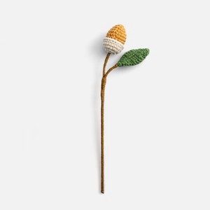 奧可利鉤針毛線小花插橡果23cm 淺咖
