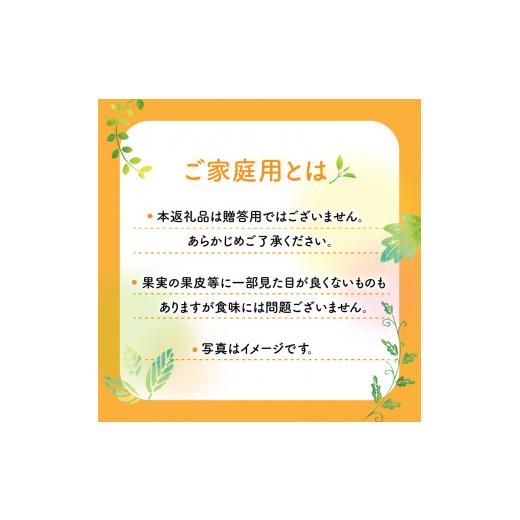 ふるさと納税 香川県 高松市 訳あり ご家庭用 さぬきひめいちご 約250g×6パック