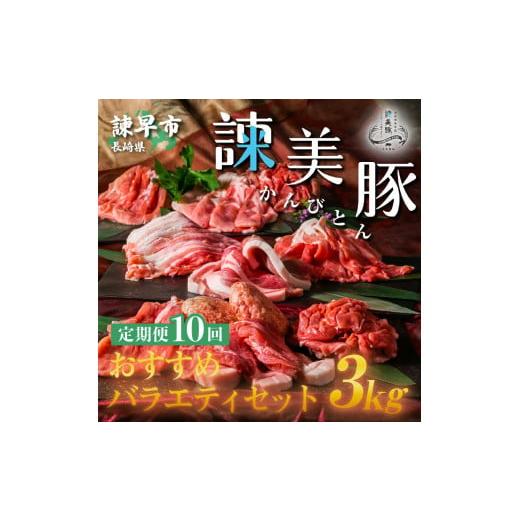 ふるさと納税 長崎県 諫早市 『定期便』_諫美豚(かんびとん)おすすめバラエティセット3kg_全10回