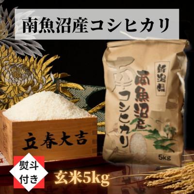 ふるさと納税 南魚沼市 南魚沼産こしひかり(玄米5kg)新潟県の美味しいお米