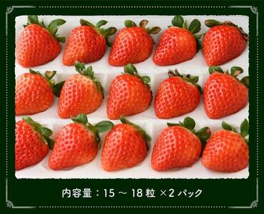 宮崎県産 いちご 『さがほのか』（Ｌ～2Ｌ） 2パック 