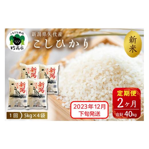 ふるさと納税 新潟県 妙高市 新潟県矢代産コシヒカリ20kg(5kg×4袋)×2回（計40kg）