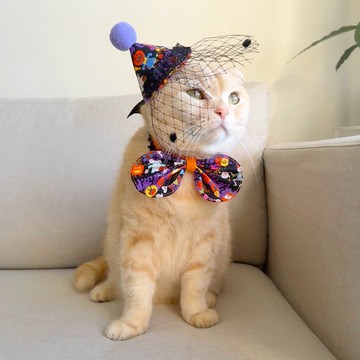 【恰氏手作】萬聖節 不給肉泥就搗蛋 寵物領巾領結帽子套裝