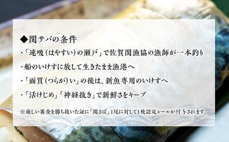 年内発送　関さば　棒寿司　2本（冷凍）＜大分のブランド「関サバ」＞