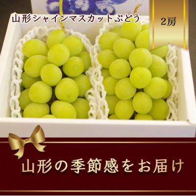 ふるさと納税 山形県 小房・粒が不揃い品。ご家庭用 山形シャインマスカットぶどう　2房で約1kg