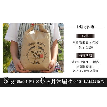 ふるさと納税 八重原米５kg（５kg×1袋）玄米 長野県東御市