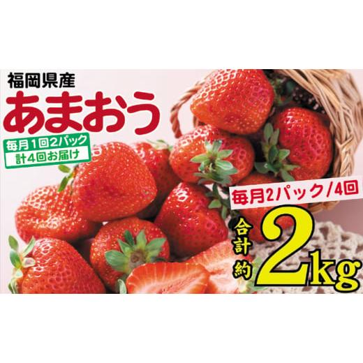 ふるさと納税 福岡県 朝倉市 フルーツ 定期便 4ヶ月 2024発送 あまおう いちご 2パック イチゴ 苺 4回 お楽しみ ※配送不可：離島