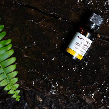 有機絲柏精油 -  德國原裝進口 純植物萃取天然擴香