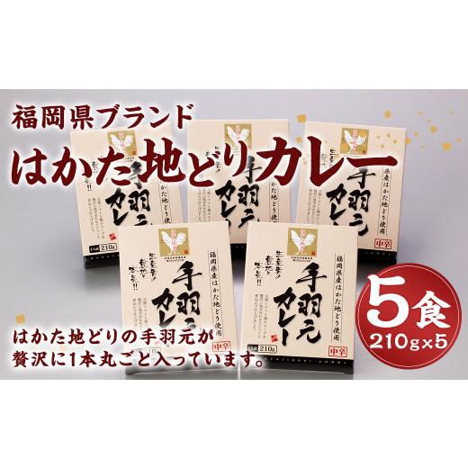 ふるさと納税 福岡県 岡垣町 福岡県ブランド はかた地どり カレー 5食 レトルト