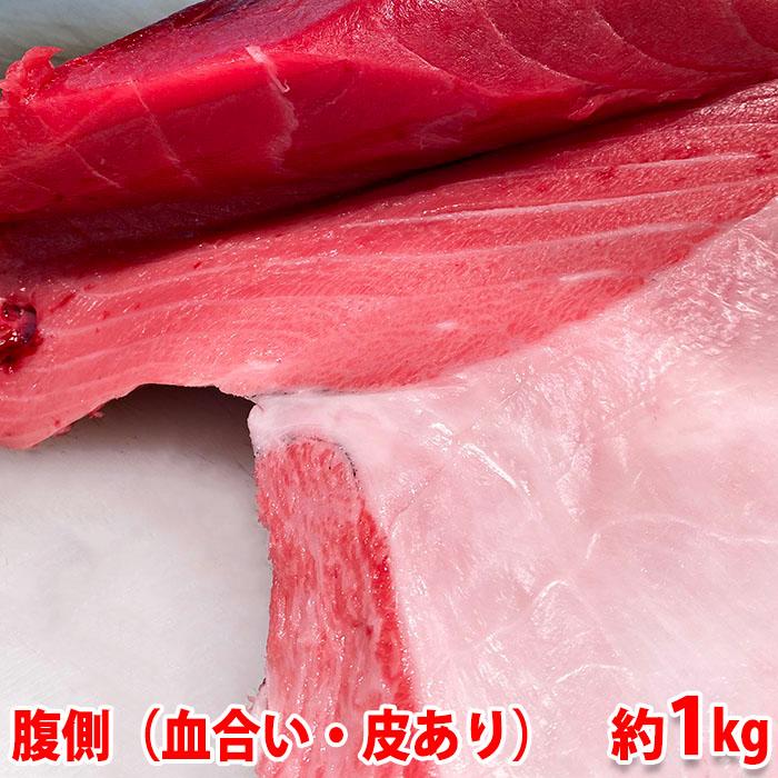 生・本マグロ　大トロ・中トロ・赤身ブロック　約1kg　国産・養殖 （血合い・皮あり） 腹側