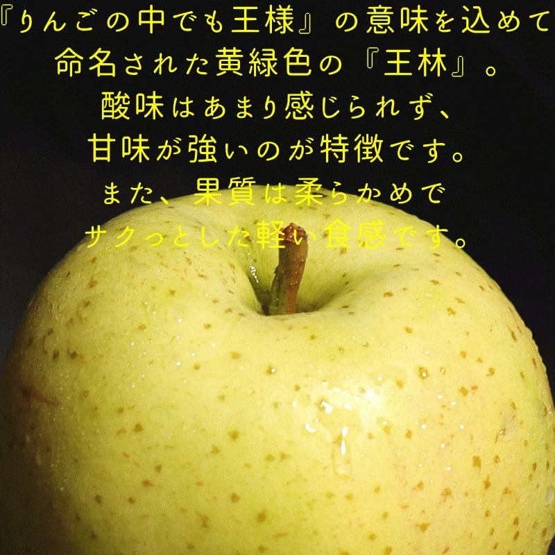 あすつく 青森 りんご 10kg箱 王林 送料無料 家庭用 訳あり 青森 リンゴ 訳あり 10キロ箱★王林 家訳 10kg箱