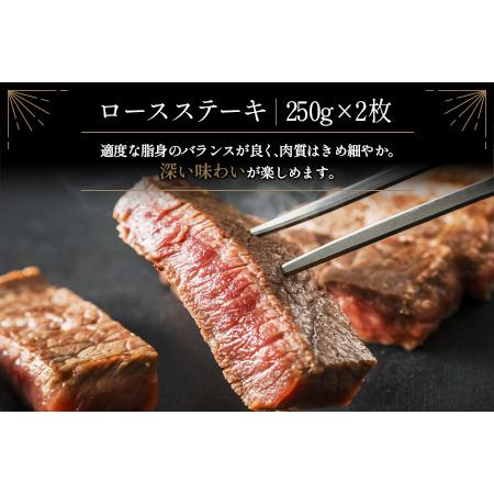 ふるさと納税 ≪肉質等級A4ランク≫宮崎牛 ロースステーキ 合計500g（250g×2枚）※90日以内に発送 宮崎県新富町