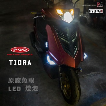 【PA LED】直上 PGO 彪虎 TIGRA H1 LED 白光 鹵素光 魚眼 頭燈 大燈 迷你尺寸