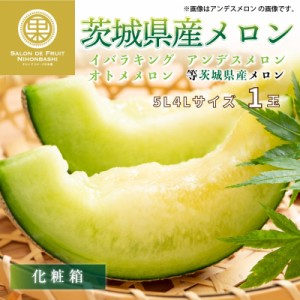 [最短順次発送]    茨城県産 メロン 青肉 1玉 5L4L 大玉 夏ギフト お中元 御中元