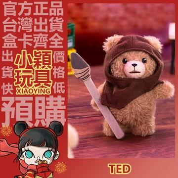 【小穎玩具】隱藏款 共鳴《Ted2》泰迪熊 Baby Ted 系列 可動毛絨公仔掛件 盲盒 盲抽 泡泡瑪特 一中盒 整套