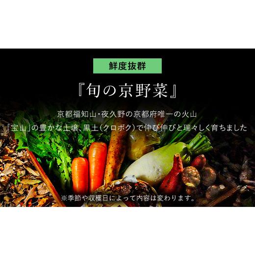 ふるさと納税 京都府 福知山市 鮮度抜群「京野菜」　食べきりサイズ詰合せ  ふるさと納税 京野菜 野菜 京都府 福知山市