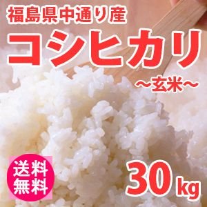 送料無料(北海道・九州・沖縄除く) 令和5年産 新米 福島県中通り産コシヒカリ(玄米)30kg