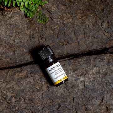 有機澳洲檀香精油 -  德國原裝進口 純植物萃取 天然擴香