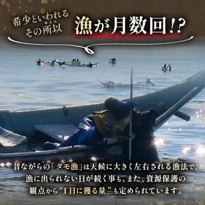 訳あり塩水うに（ばふんうに）100g×1枚 北海道 知床 羅臼 天然 エゾバフン ウニ 雲丹 海鮮 魚介 UNI-0111