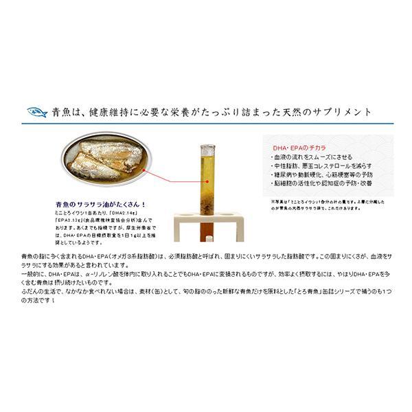 いわし イワシ イワシ缶 千葉産直 ミニとろイワシ味付 100g 個セット