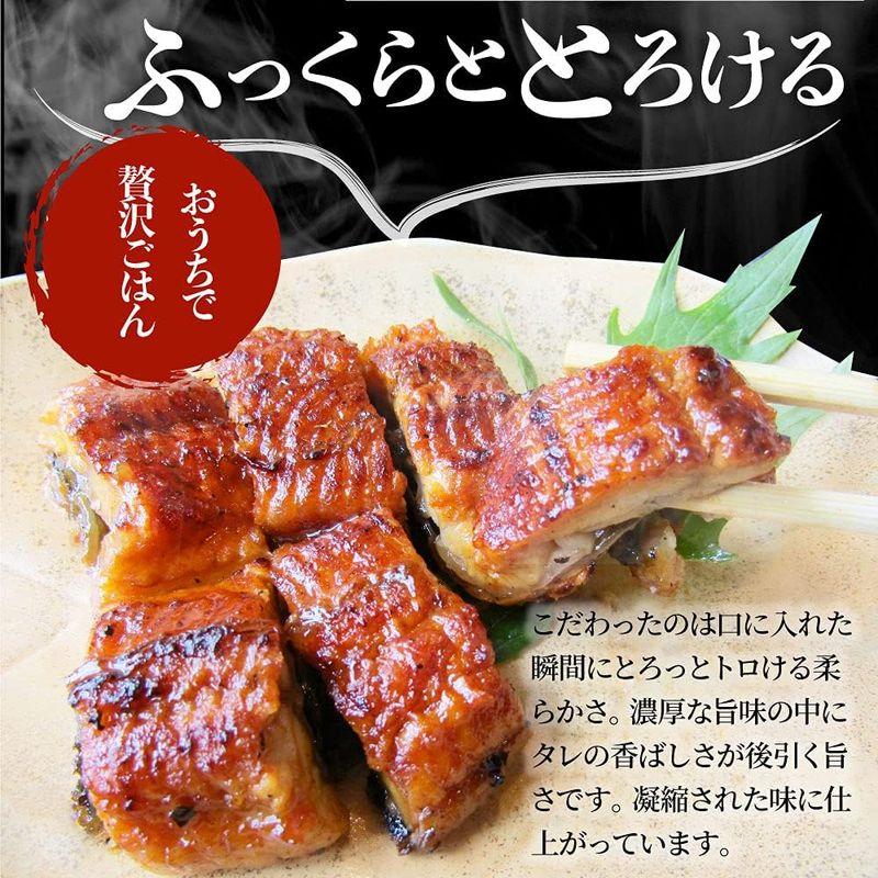 とろけるカットうなぎ 蒲焼 鰻 かば焼き (10人前1kg(100g×10))