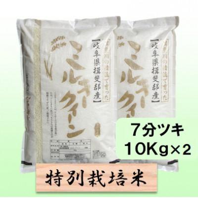 ふるさと納税 池田町 特別栽培米 20kg(ミルキークイーン)