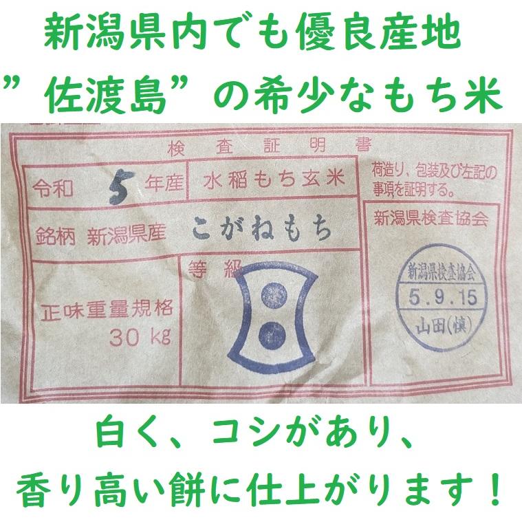 令和５年”新潟県佐渡産こがねもち ” 1.4kg 白米