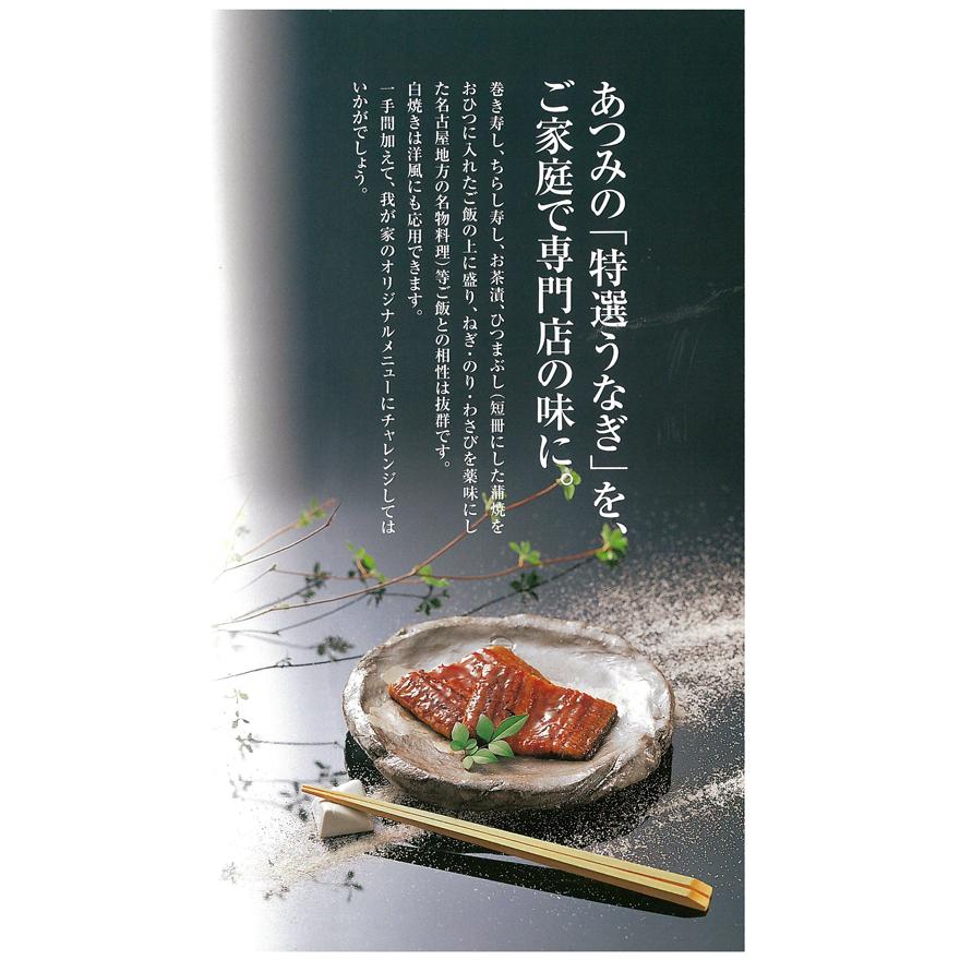 愛知県産特選うなぎ蒲焼き（きざみ）5食セット 土用の丑の日　2023　ギフト　国産　 ウナギ 鰻 お取り寄せ 人気　お祝　お歳暮　お中元