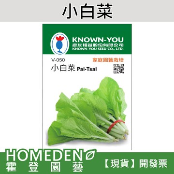 【隔日到貨】小白菜 V-050 蔬菜種子 農友牌 小包裝種子 約2000粒/包【HOMEDEN霍登園藝】