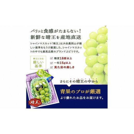 ふるさと納税 岡山県 瀬戸内市 ぶどう 2024年 先行予約 シャイン マスカット 晴王 3〜5房 2kg前後 （10月上旬〜11月下旬発送分） ブドウ 葡萄  岡山県産 国産 …