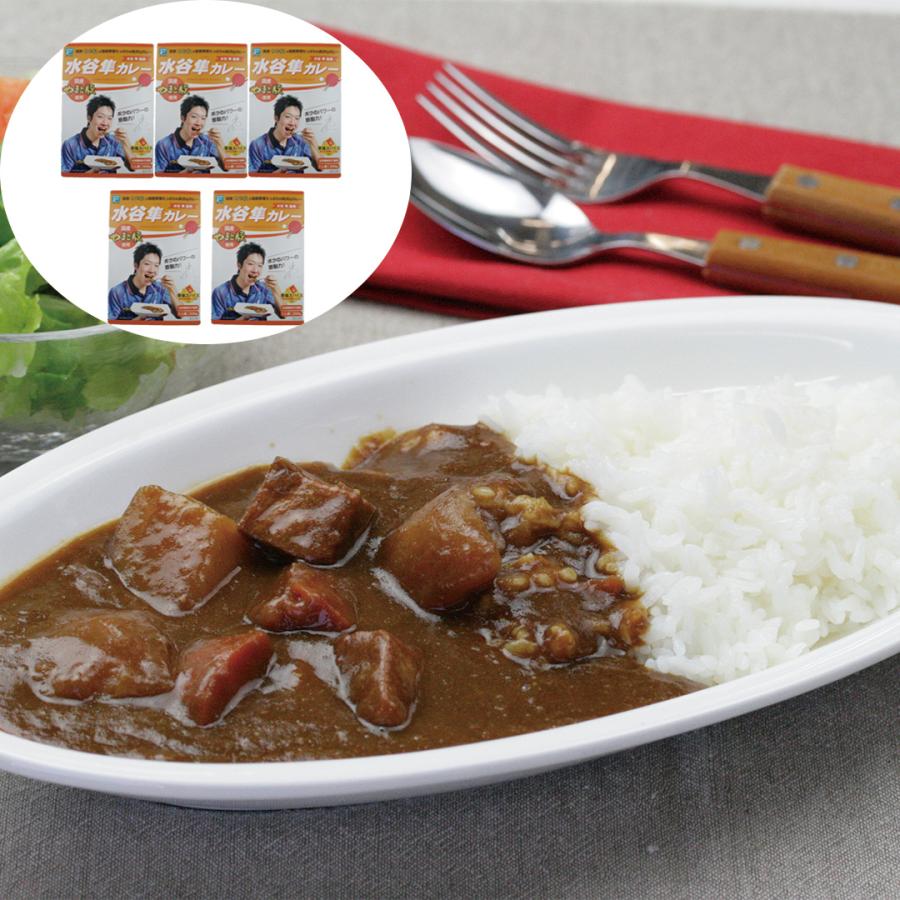 水谷隼監修 水谷隼カレー 200g×5個 