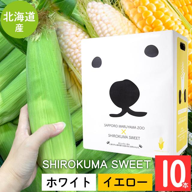  北海道 とうもろこし 送料無料 SHIROKUMA SWEET 北海道産 イエローコーン＆ホワイトコーン 10本   産地直送 みらい 2種類