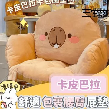 【可開統編】卡皮巴拉~一體式懶人沙發厚實護腰屁墊 懶人沙發 蒲團坐墊 地上屁墊 懶人椅 小沙發 單人沙發 沙發