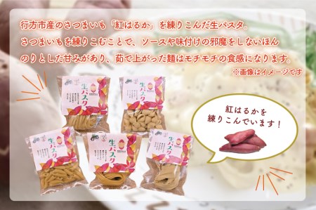 CJ-5  紅はるか使用 生パスタ5種（計10食分）