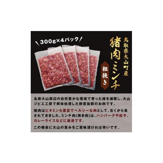 ふるさと納税 鳥取県 大山町 GB-16　猪肉ミンチ（粗挽き）1.2kg（300g×4パック）