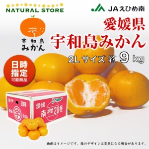 [予約 2023年 11 10頃より発送] 宇和島みかん 2Lサイズ 約9kg 愛媛県 産地箱 うわじま レギュラー デイリー 早生 南柑20号ミカン