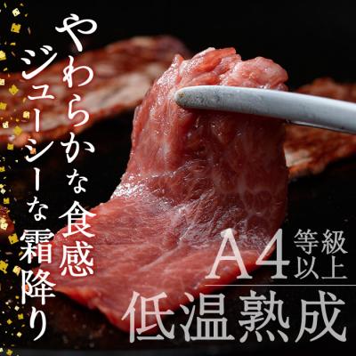 ふるさと納税 佐伯市 おおいた和牛 赤身 焼肉 2種セット (合計550g・特選赤身焼肉250g 赤身焼肉300g)