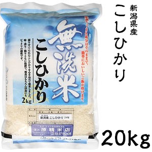 米 日本米 令和4年度産 新潟県産 コシヒカリ BG精米製法 無洗米 20kg