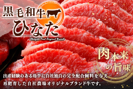 ブランド牛「黒毛和牛ひなた」肩ローススライス500g