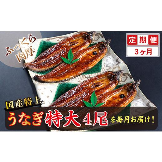 ふるさと納税 福井県 越前市 国産！特上うなぎのかば焼き 約250g × 4尾 × 3回お届け （毎月お届け）