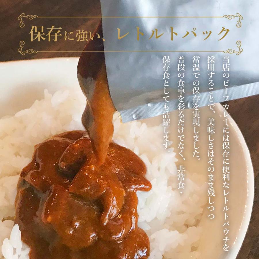 お歳暮 早割 100円OFFクーポン レトルトカレー 2食 セット ハヤシライス ＆ ビーフ 各1食 計2食 カレー 食品 レトルト食品 御歳暮 2023